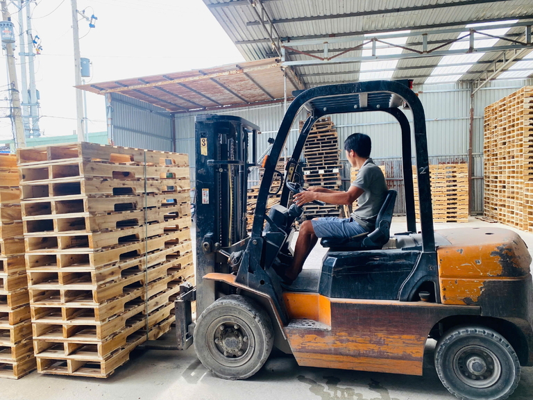 Kho gỗ đóng pallet