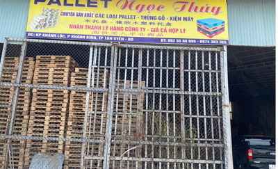 PALLET GỖ NGỌC THÀNH TIẾN TẠI BÌNH DƯƠNG – ĐÓNG PALLET THEO YÊU CẦU, CHUẨN XUẤT KHẨU