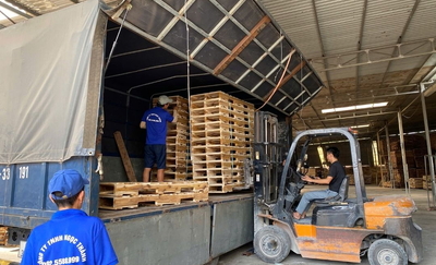 Pallet Gỗ Ngọc Thành Tiến - Sản Xuất Pallet Chuẩn Xuất Khẩu