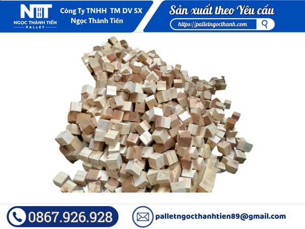 Cục gù gỗ thông